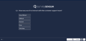 The image shows a Likert rating scale (5 point)