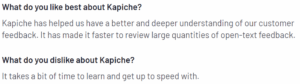 A screenshot of a customer review on Kapiche from the G2 platform explaining what they like and dislike about the tool