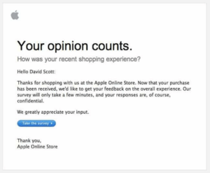 The image shows a customer satisfaction survey conducted by Apple where they ask a customer to rate their shopping experience with the Apple online store.
