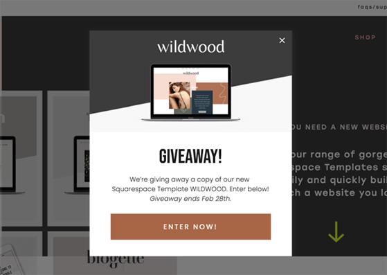 This is the image of the exit intent Giveaway Popup of Wildwood where users are shown a free giveaway when they are about to exit the website. 
