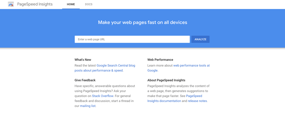 An image showing Google PageSpeed to analyze the website performance. 