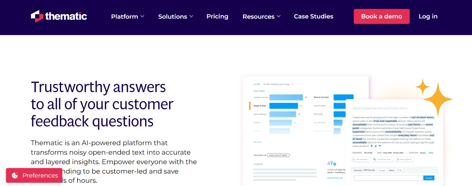 voice of the customer tool thematic